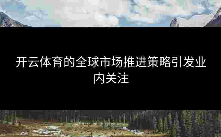 开云体育的全球市场推进策略引发业内关注